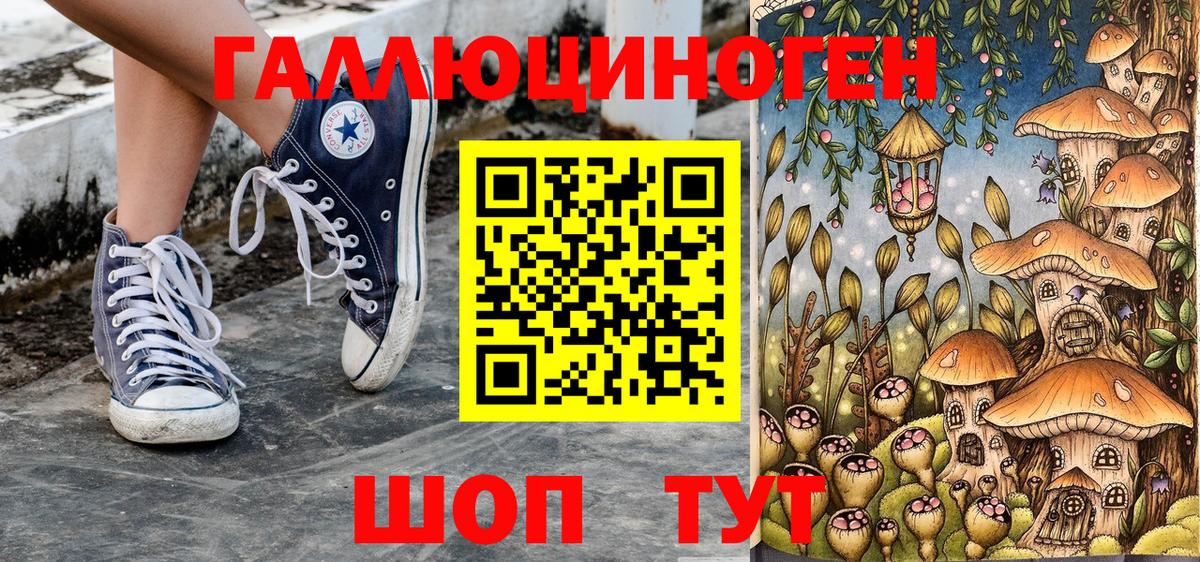 Псилоцибиновые грибы MAGIC MUSHROOMS  Псилоцибиновые грибы прущие грибы  Вход с VPN  Можайск 
