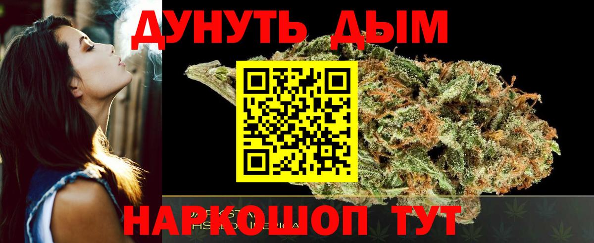Конопля сатива Можайск